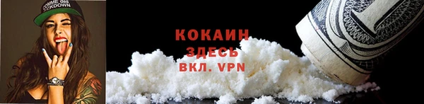 кокс Алексин