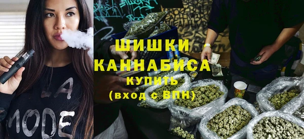 винт Алзамай