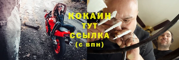 кокс Алексин